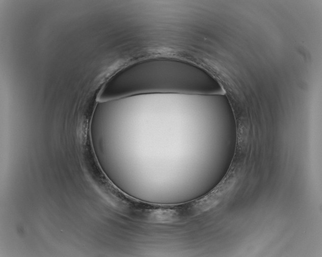 X0000111830168200907231029