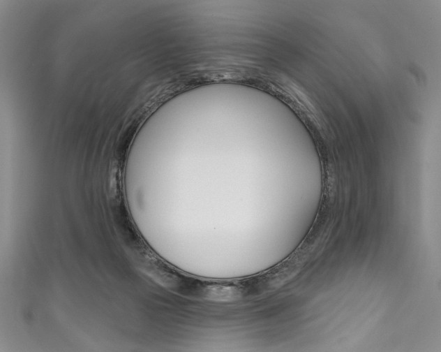 X0000111830169200907231029