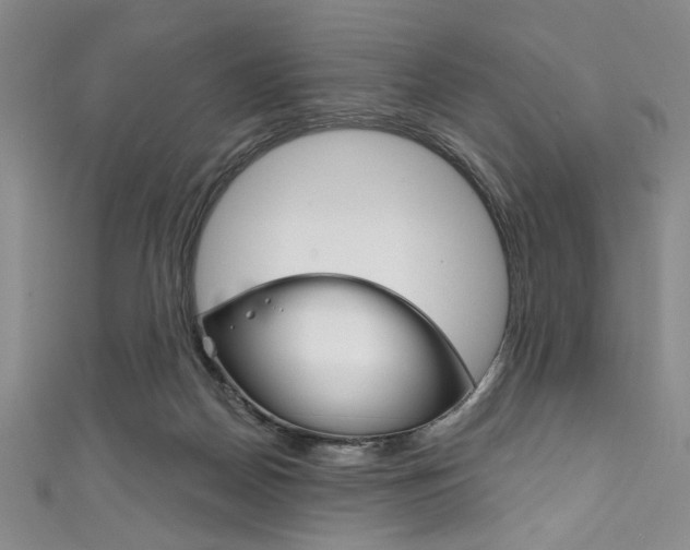 X0000111830170200907231030