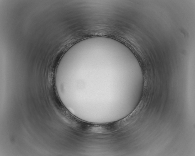 X0000111830171200907231030