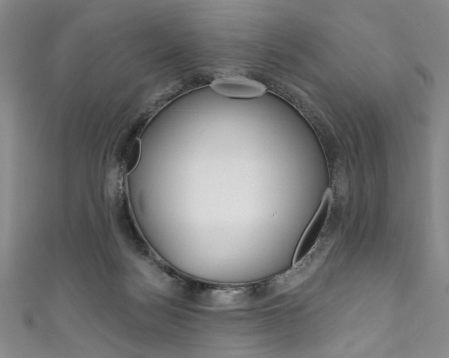 X0000111830172200907231030