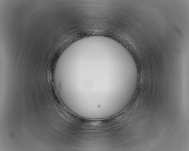 X0000111830173200907231030