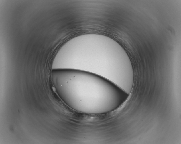 X0000111830174200907231030