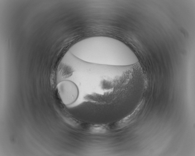 X0000111830175200907231030