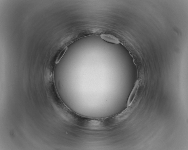 X0000111830176200907231030