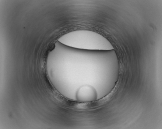 X0000111830178200907231030