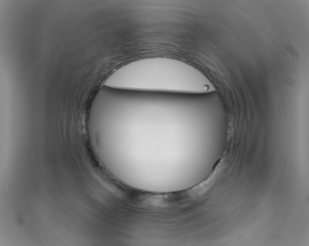 X0000111830182200907231030