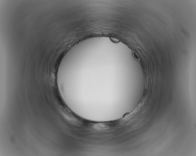 X0000111830183200907231030
