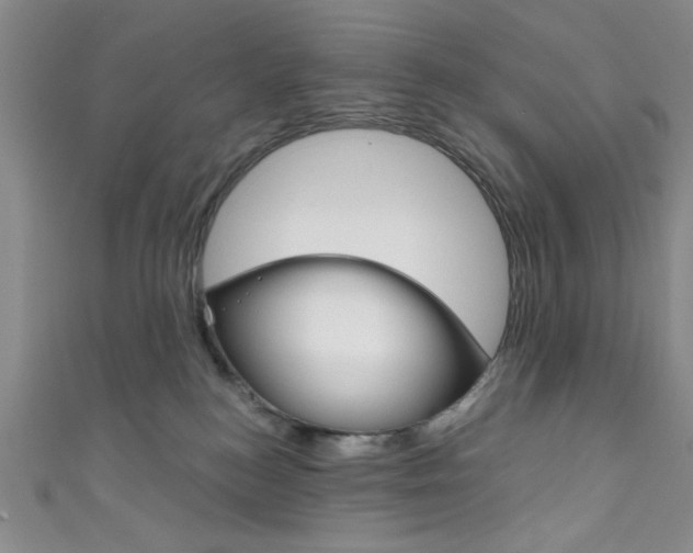 X0000111830184200907231030