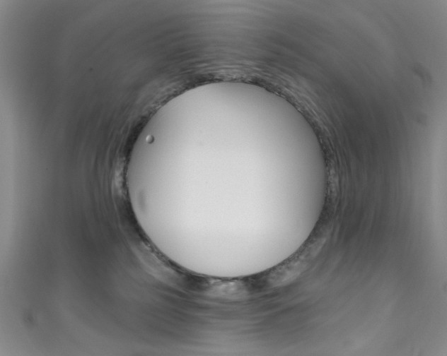 X0000111830185200907231030