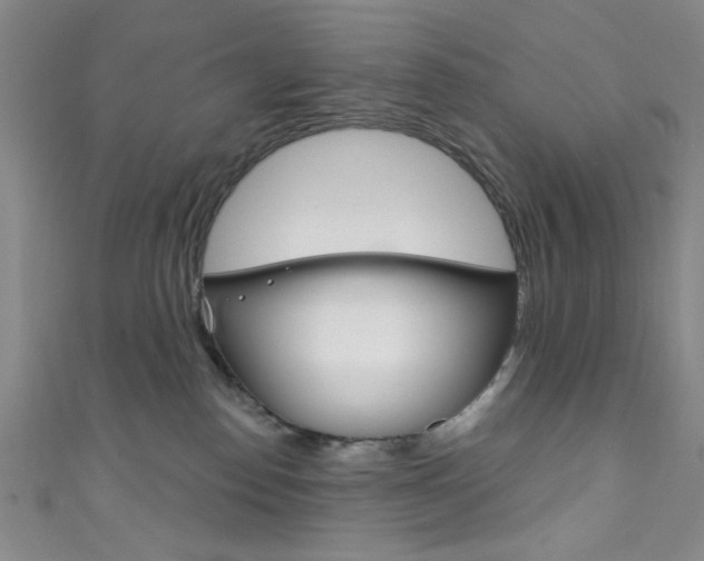 X0000111830186200907231030