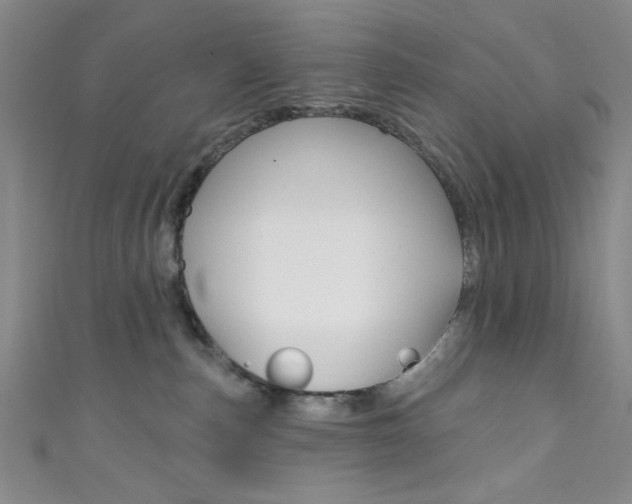 X0000111830187200907231030