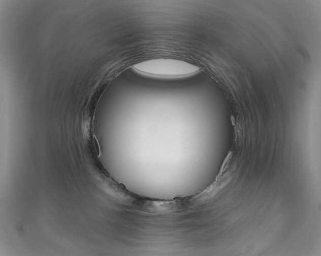 X0000111830188200907231030