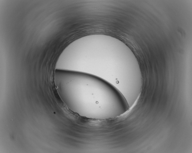 X0000111830190200907231030