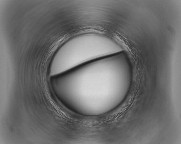 X0000111830193200907231029