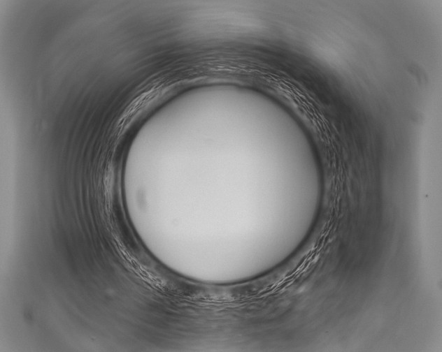 X0000111830194200907231029