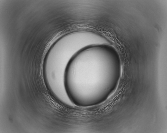 X0000111830195200907231029