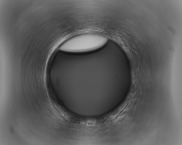 X0000111830196200907231029