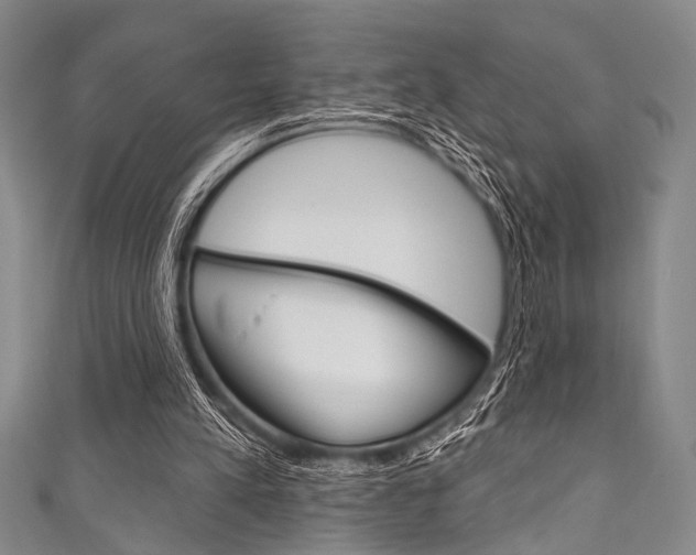 X0000111830197200907231029