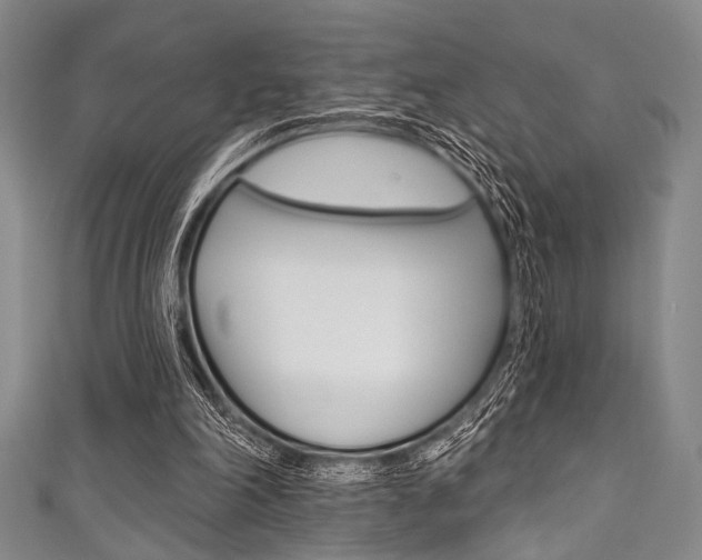 X0000111830198200907231029