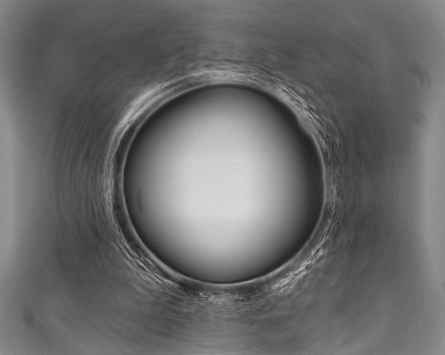 X0000111830199200907231029