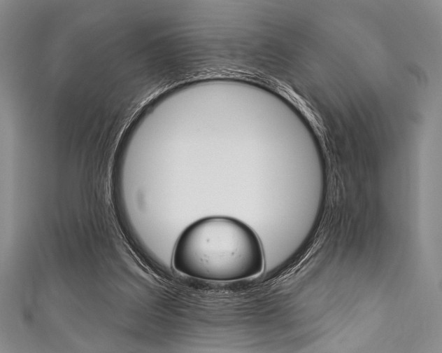 X0000111830203200907231029