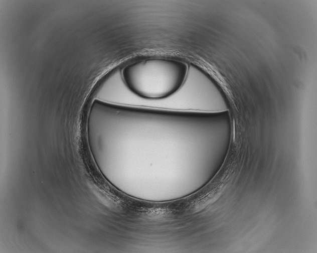 X0000111830204200907231029