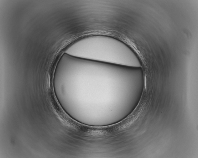 X0000111830205200907231029