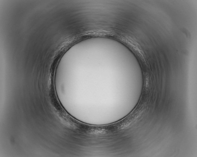 X0000111830206200907231029