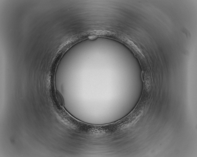 X0000111830207200907231029