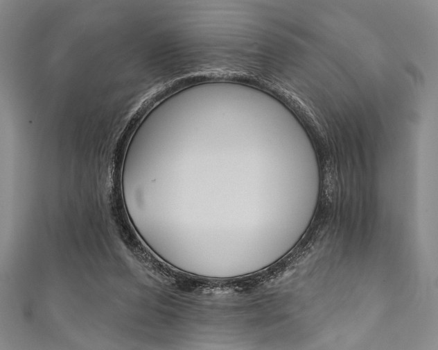 X0000111830208200907231029