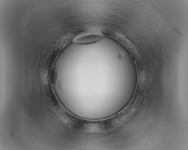 X0000111830209200907231029