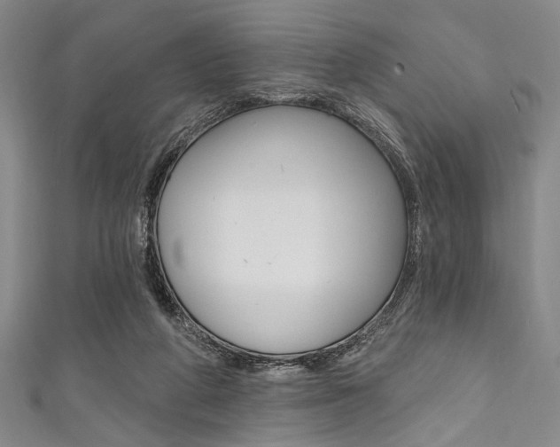 X0000111830210200907231029
