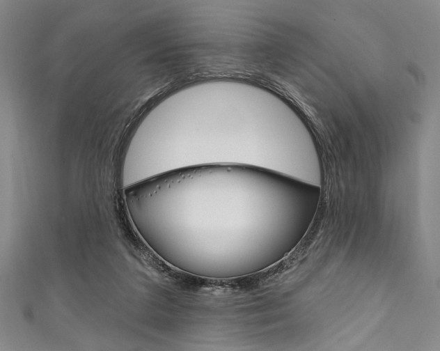 X0000111830211200907231029