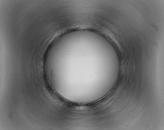 X0000111830212200907231029