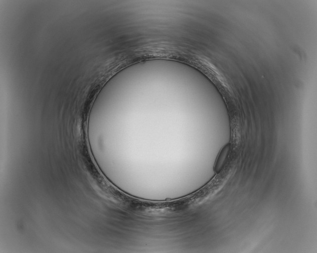 X0000111830213200907231029