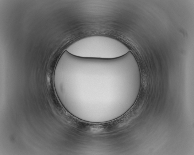 X0000111830214200907231029