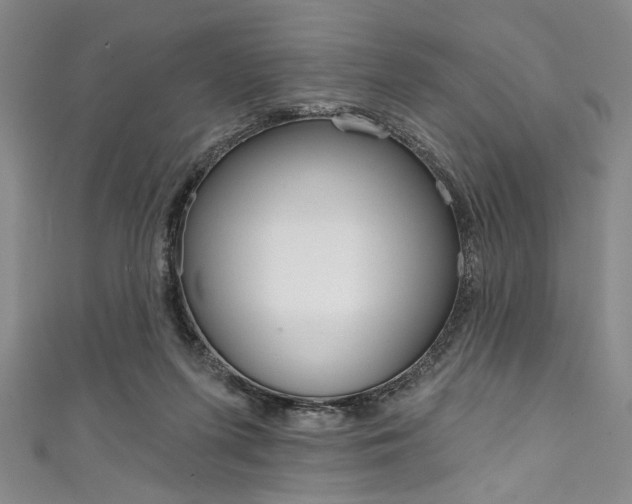 X0000111830215200907231029