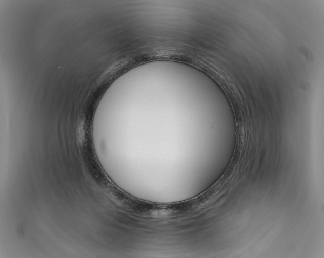 X0000111830216200907231029