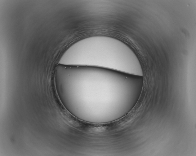 X0000111830217200907231029