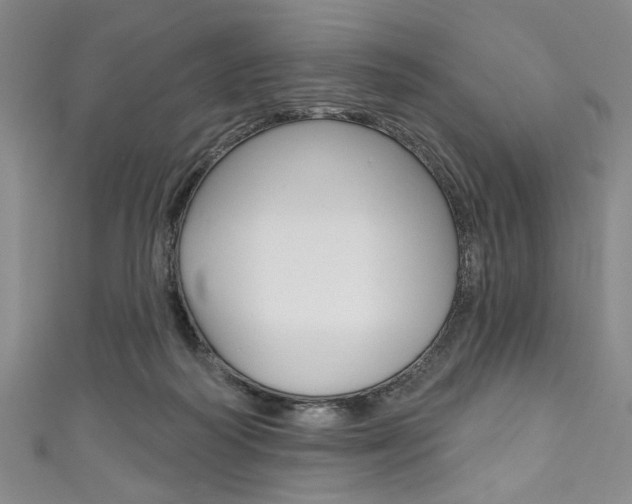 X0000111830218200907231029