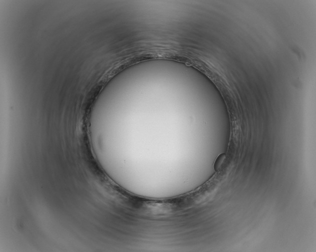 X0000111830221200907231029