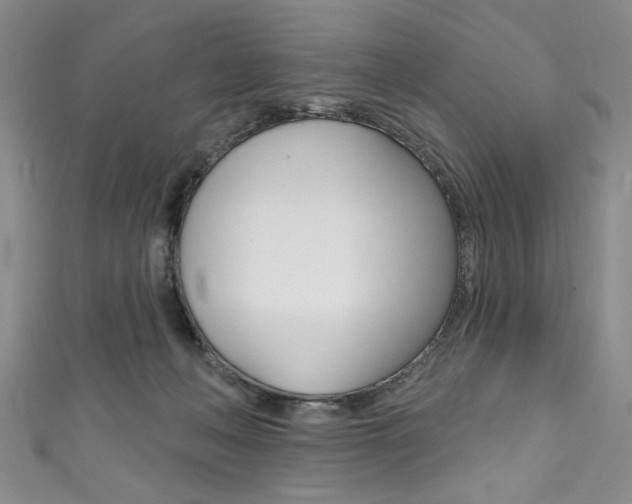 X0000111830222200907231029