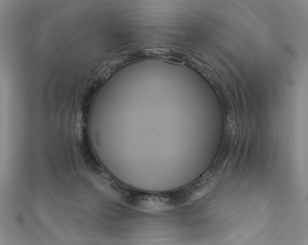 X0000111830223200907231029