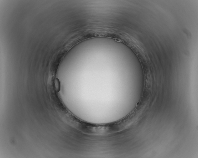 X0000111830225200907231029