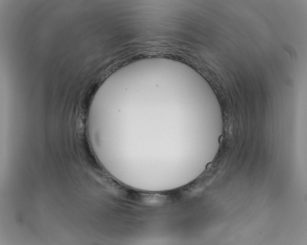 X0000111830226200907231029