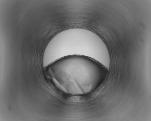 X0000111830227200907231029