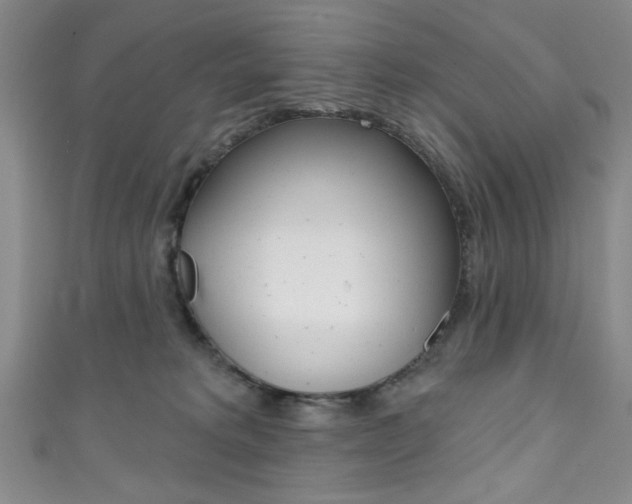 X0000111830229200907231029