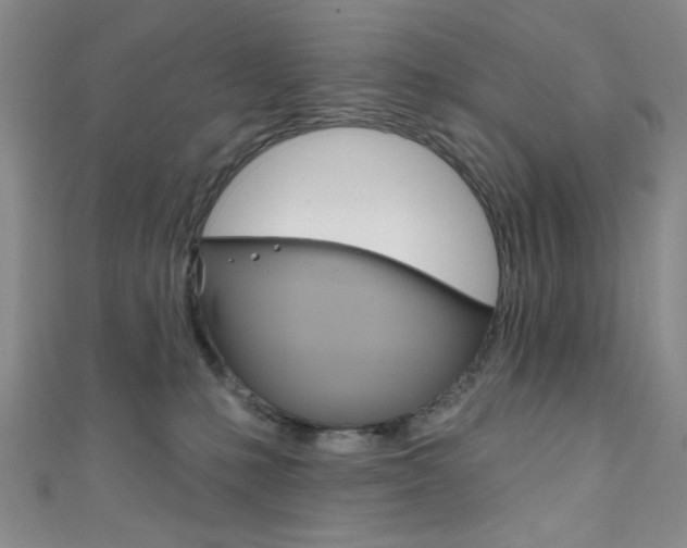 X0000111830231200907231029