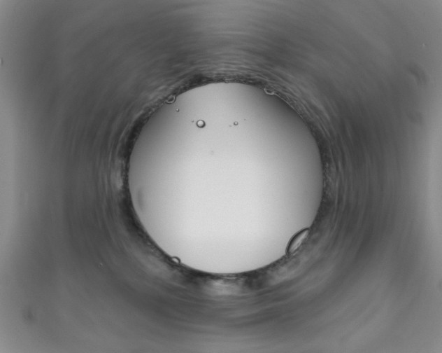 X0000111830232200907231029